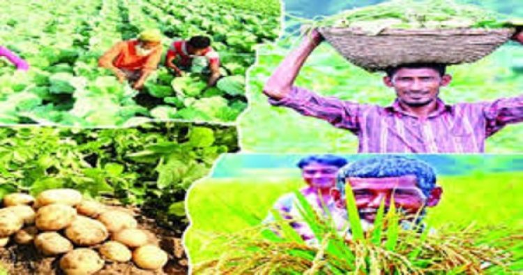 কৃষি উৎপাদনে বিশ্বের শীর্ষ দশে বাংলাদেশ