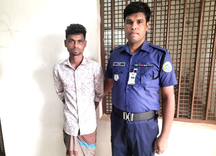 চরফ্যাশনে চোর আটক