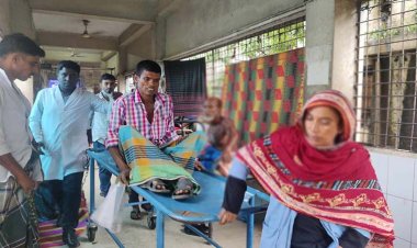 ছোবল দেওয়া সাপ নিয়ে হাসপাতালে কৃষক