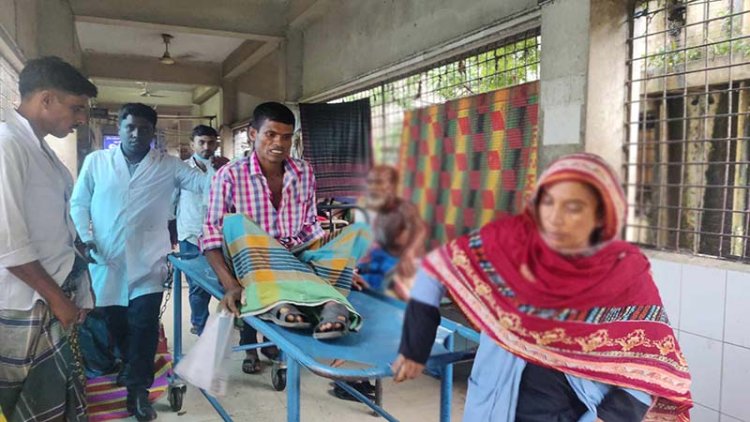 ছোবল দেওয়া সাপ নিয়ে হাসপাতালে কৃষক