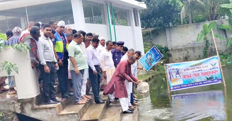 বোরহানউদ্দিনে জাতীয় মৎস সপ্তাহের উদ্বোধন
