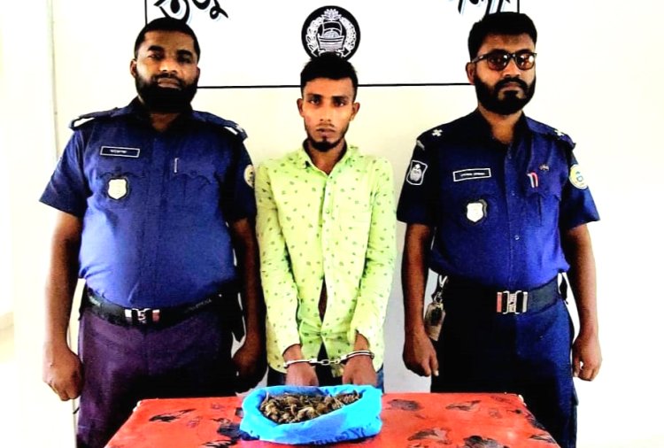 তজুমদ্দিনে গাঁজা নিয়ে যুবক যাচ্ছিলেন ক্রেতার কাছে, অতঃপর...