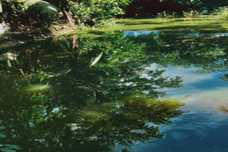 লালমোহনে পুকুরে ডুবে শিশুর মৃত্যু