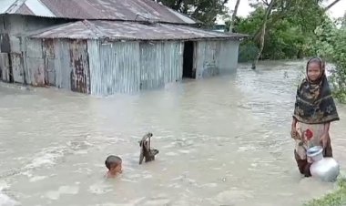 মনপুরায় পানিবন্দি ৫ হাজার মানুষ