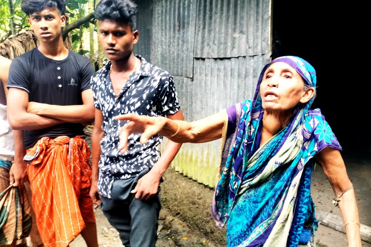 লালমোহনে সাপের কামড়ে স্বামীহারা নারীর মৃত্যু