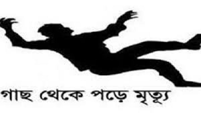 বোরহানউদ্দিনে গাছ থেকে পড়ে প্রাণ গেল যুবকের