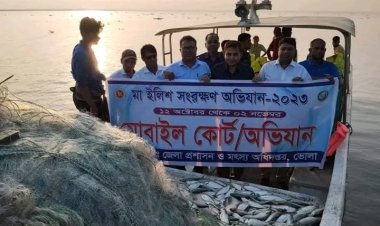 বোরহানউদ্দিনে ইলিশসহ অবৈধ জাল জব্দ