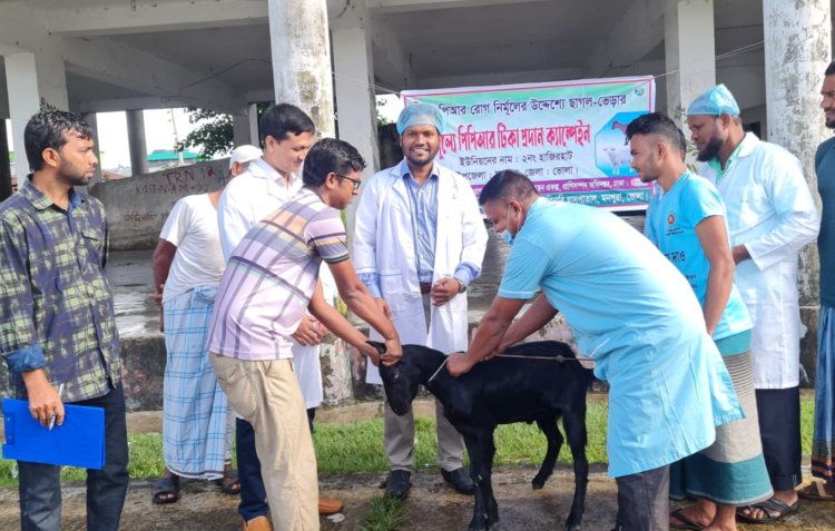 মনপুরায় বিনামূল্যে পিপিআর টিকা প্রদান ক্যাম্পেইন