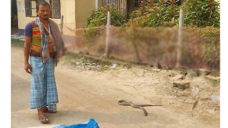 ছোবল দেওয়া সাপ নিয়ে হাসপাতালে যুবক