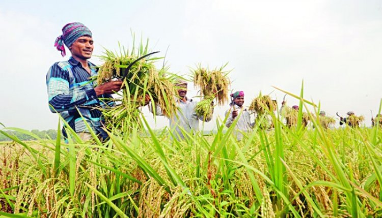 টেকসই কৃষির জন্য ৭ হাজার কোটি টাকার প্রকল্প