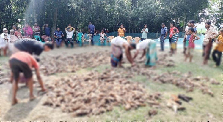 শত্রুর দেওয়া বিষে মরল ১৪০০ হাঁস