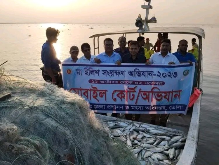 বোরহানউদ্দিনে ইলিশসহ অবৈধ জাল জব্দ