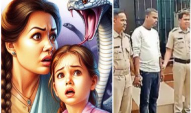 ঘরে বিষাক্ত সাপ ছেড়ে স্ত্রী-সন্তানকে হত্যা!