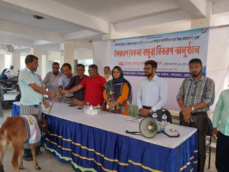 লালমোহনে ১৬ জেলের মাঝে বকনা বাছুর বিতরণ 