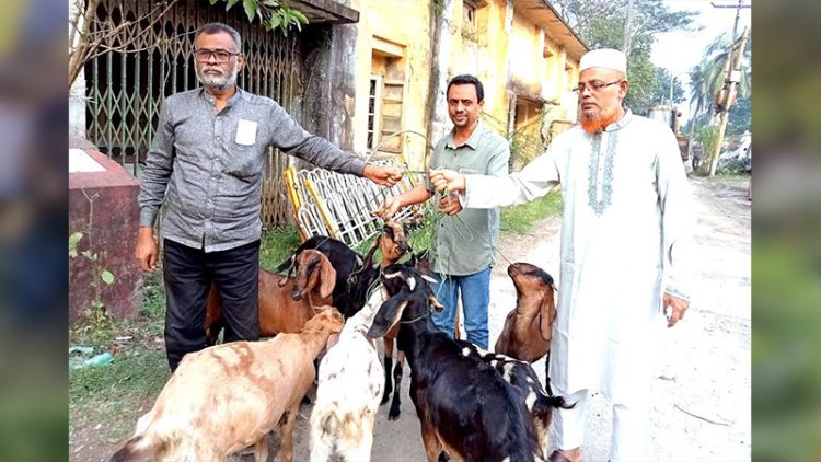 এক বছর পর সাজামুক্ত ৯টি ছাগল