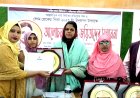 লালমোহনে পাঁচ জয়িতাকে সম্মাননা