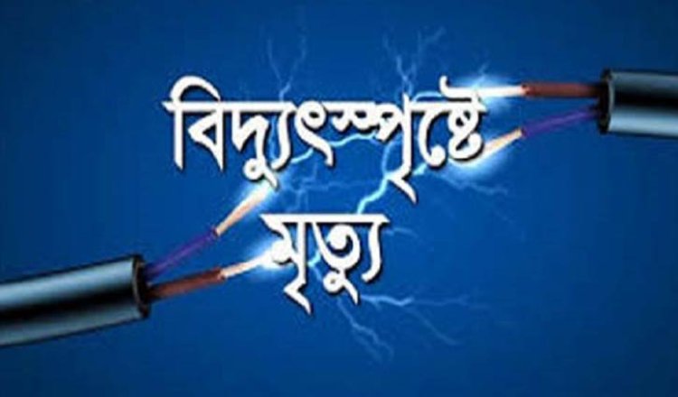 লালমোহনে বিদ্যুৎস্পৃষ্টে যুবকের মৃত্যু