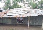 বছরের পর বছর যায়, তবুও হয় না একটি পাকা ভবন