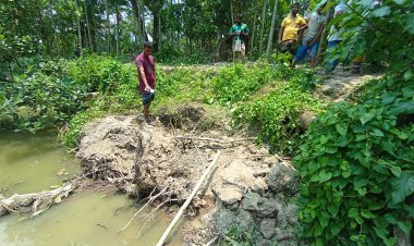 বোরহানউদ্দিনে আম কুড়াতে গিয়ে মাটি চাপায় গৃহবধূর মৃত্যু