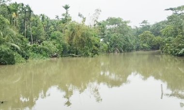 লালমোহনে ঘূর্ণিঝড় রেমালের প্রভাবে পানিতে ভেসে গেছে কোটি টাকারও অধিক মাছ