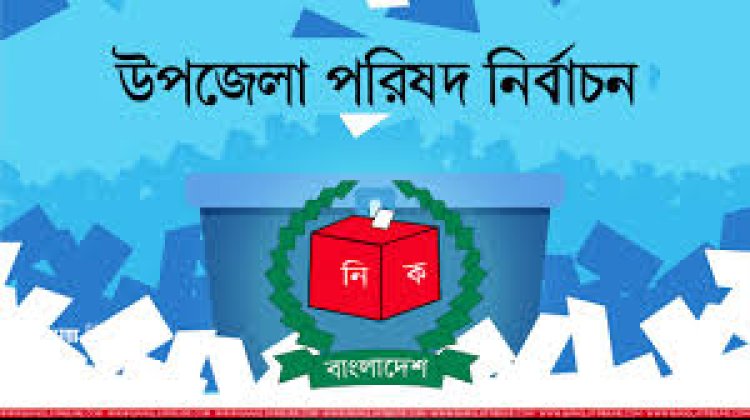 লালমোহন উপজেলা নির্বাচনে ৩ পদে ১৩ প্রার্থীর মনোনয়ন দাখিল