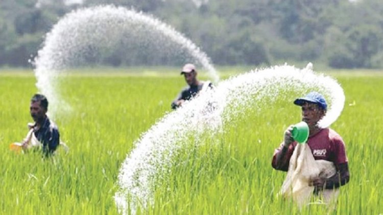 ৯৬ কোটি টাকার ইউরিয়া কিনবে সরকার