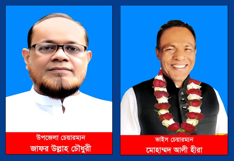 বোরহানউদ্দিন উপজেলা পরিষদ নির্বাচনে জয়ী যারা
