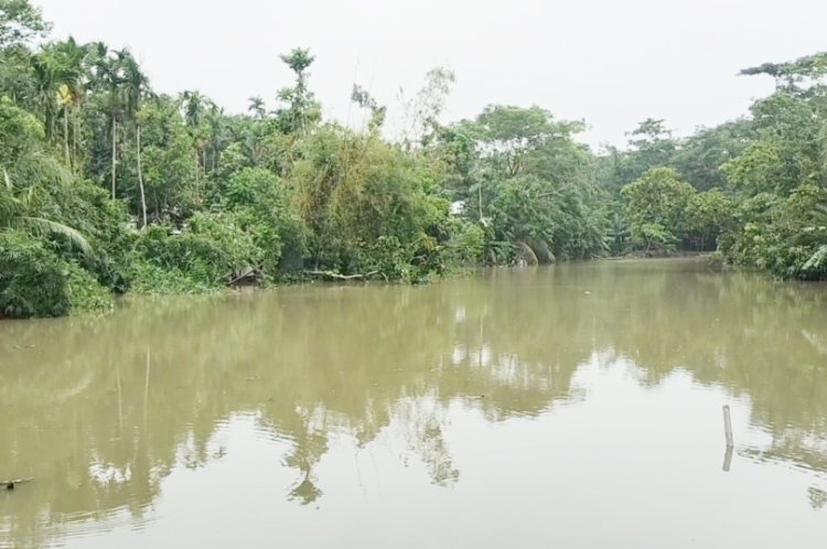 লালমোহনে ঘূর্ণিঝড় রেমালের প্রভাবে পানিতে ভেসে গেছে কোটি টাকারও অধিক মাছ