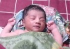 ‘লালমোহন নৌরুটের লঞ্চে সন্তান প্রসব, মা-শিশুর আজীবন ভাড়া ফ্রি’