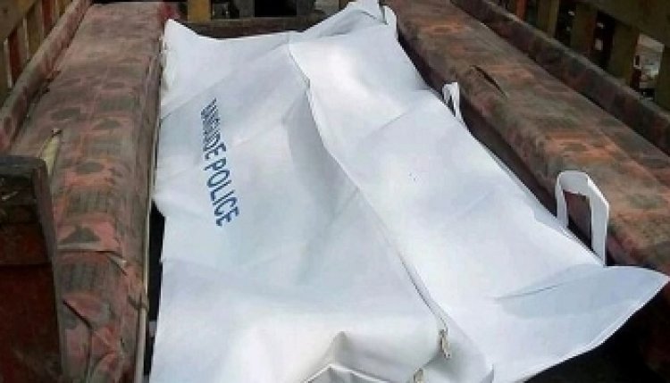চরফ্যাশনে অটোরিকশা থেকে ছিটকে পড়ে প্রাণ গেল শিশুর