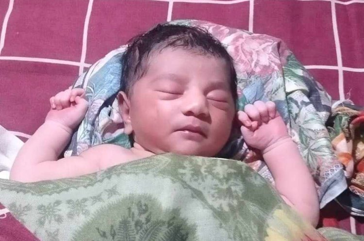 ‘লালমোহন নৌরুটের লঞ্চে সন্তান প্রসব, মা-শিশুর আজীবন ভাড়া ফ্রি’