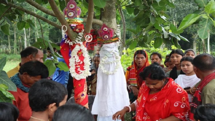 ঢাকঢোল পিটিয়ে দুই গাছের বিয়ে