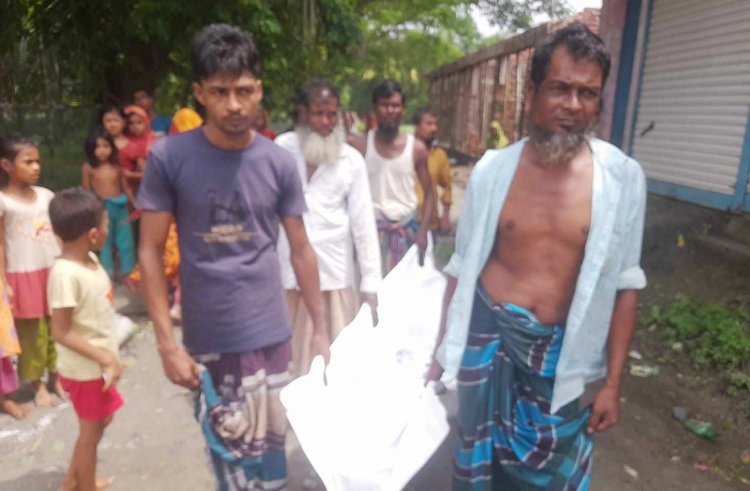 চরফ্যাশনে স্বামীকে অপমান করায় স্ত্রীর আত্মহত্যা