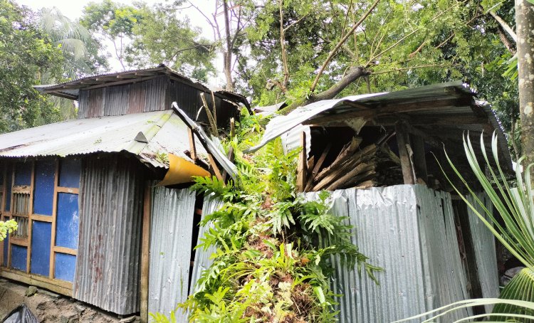 আকস্মিক ঘূর্ণিঝড়ে লালমোহনে ব্যাপক ক্ষতি