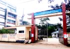লালমোহনে সাপের কামড়ে গৃহবধূর মৃত্যু