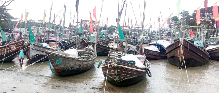 মা ইলিশ রক্ষায় অভিযান; তজুমদ্দিনে সর্বোচ্চ সতর্ক অবস্থানে থাকবে প্রশাসন