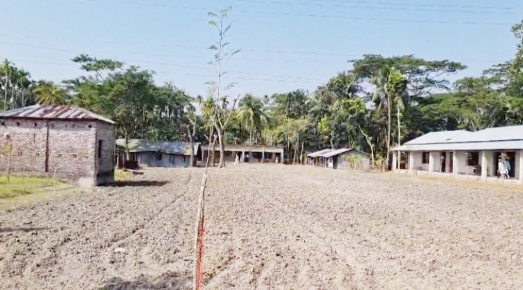 চরফ্যাশনে মাদরাসার খেলার মাঠে চাষ দিয়ে আলু আবাদের প্রস্তুতি!