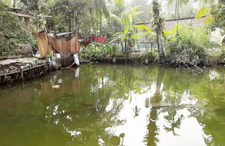 লালমোহনে পানিতে ডুবে মরলো এক বছরের ফারহান