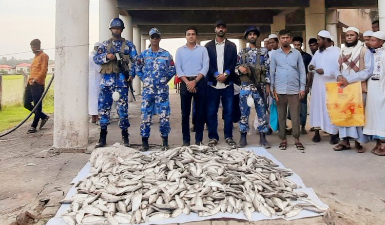 মনপুরায় যৌথ অভিযানে জাটকা ইলিশ ও অবৈধ জাল জব্দ