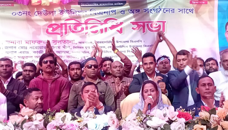 বোরহানউদ্দিনে বিএনপির প্রতিনিধি সভা