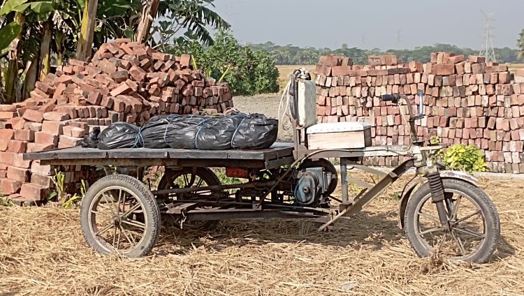 বোরহানউদ্দিনে দাফনের ৫ মাস পর কবর থেকে লাশ উত্তোলন
